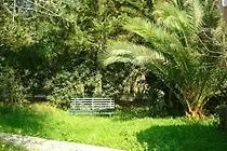 Olive Apartament *
